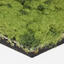 Op zoek naar tapijttegels van Interface? Urban Retreat 103 in de kleur Grass is een uitstekende keuze. Bekijk deze en andere tapijttegels in onze webshop.