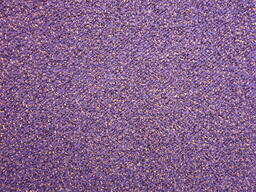 Heuga 568 Aubergine / Interface / Boucle (lussenpool) / 50 cm x 50 cm / Paars