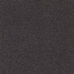 Op zoek naar tapijttegels van Interface? Heuga 731 in de kleur Peat 60x60cm is een uitstekende keuze. Bekijk deze en andere tapijttegels in onze webshop.