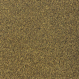 Op zoek naar tapijttegels van Interface? Heuga 538 X-loop in de kleur Gold is een uitstekende keuze. Bekijk deze en andere tapijttegels in onze webshop.