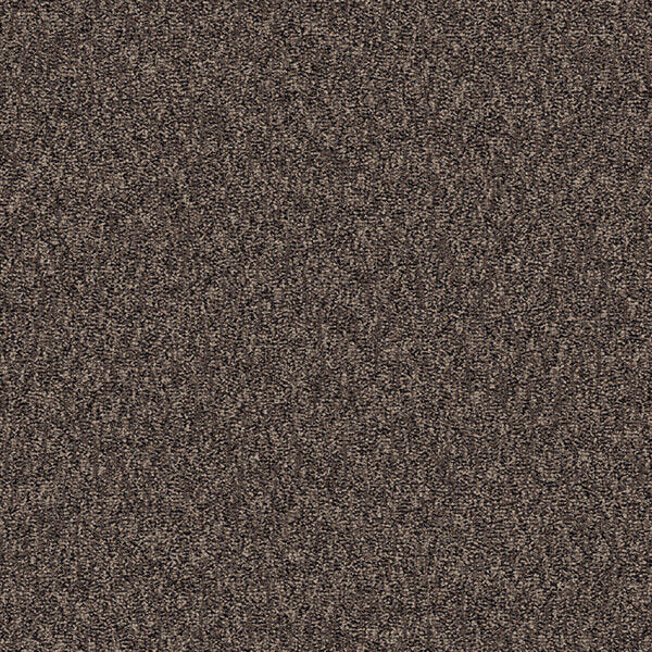 Concrete Mix - Brushed Brownstone / Interface / Boucle (lussenpool) / 50 cm x 50 cm / Grijs