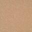 Heuga Color Collection Camel / Interface / Boucle (lussenpool) / 50 cm x 50 cm / Beige / 1