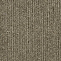 Op zoek naar tapijttegels van Interface? Elevation II in de kleur Linen Shade is een uitstekende keuze. Bekijk deze en andere tapijttegels in onze webshop.