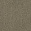 Op zoek naar tapijttegels van Interface? Elevation II in de kleur Linen Shade is een uitstekende keuze. Bekijk deze en andere tapijttegels in onze webshop.