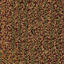 Entropy II Diversity / Interface / Boucle (lussenpool) / 50 cm x 50 cm / Oranje / 2