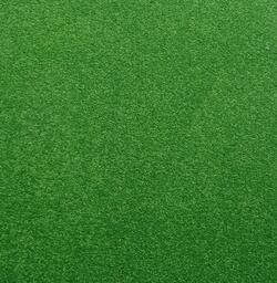 Polichrome Frog / Interface / Velours / 50 cm x 50 cm / Groen