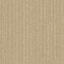 Equilibrium Balance / Interface / Boucle (lussenpool) / 50 cm x 50 cm / Beige / 2