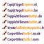 Op zoek naar tapijttegels van Interface? Aliteration in de kleur Graphite/Lilac is een uitstekende keuze. Bekijk deze en andere tapijttegels in onze webshop.