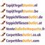 Op zoek naar tapijttegels van Interface? Collect in de kleur Sooth is een uitstekende keuze. Bekijk deze en andere tapijttegels in onze webshop.