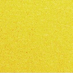 Op zoek naar tapijttegels van Interface? Heuga 727 in de kleur Hot Yellow is een uitstekende keuze. Bekijk deze en andere tapijttegels in onze webshop.