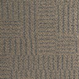Op zoek naar tapijttegels van Interface? Merano in de kleur Grotto is een uitstekende keuze. Bekijk deze en andere tapijttegels in onze webshop.