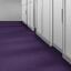 Op zoek naar tapijttegels van Interface? Polichrome in de kleur Purple Beauty is een uitstekende keuze. Bekijk deze en andere tapijttegels in onze webshop.