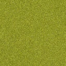 Polichrome Gooseberry / Interface / Velours / 50 cm x 50 cm / Groen