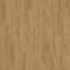 Op zoek naar tapijttegels van Interface? LVT Woodgrains Planks (Vinyl) in de kleur Antique Oak is een uitstekende keuze. Bekijk deze en andere tapijttegels in onze webshop.