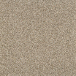 Op zoek naar tapijttegels van Interface? Heuga 568 in de kleur Camel is een uitstekende keuze. Bekijk deze en andere tapijttegels in onze webshop.