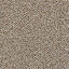 Op zoek naar tapijttegels van Interface? Heuga 568 in de kleur Camel is een uitstekende keuze. Bekijk deze en andere tapijttegels in onze webshop.