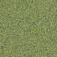 Op zoek naar tapijttegels van Interface? Biosfera Boucle in de kleur Smeraldo is een uitstekende keuze. Bekijk deze en andere tapijttegels in onze webshop.