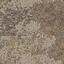 Op zoek naar tapijttegels van Interface? Net Effect B602 in de kleur Driftwood is een uitstekende keuze. Bekijk deze en andere tapijttegels in onze webshop.
