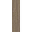 Net Effect B701 Planks Driftwood / Interface / Boucle (lussenpool) / 25 cm x 100 cm / Beige / 1