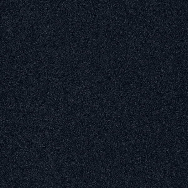 Polichrome Blue Whale / Interface / Velours / 50 cm x 50 cm / Zwart